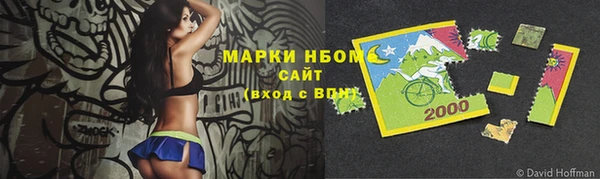 хмурый Алексин