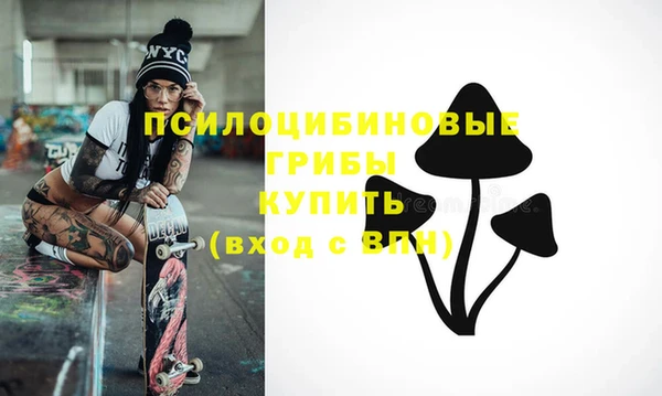 PSILOCYBIN Алзамай