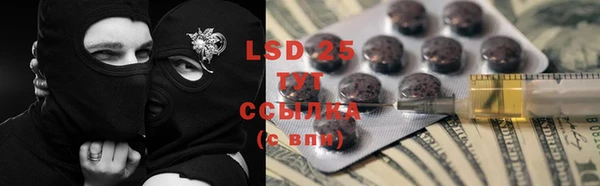 хмурый Алексин