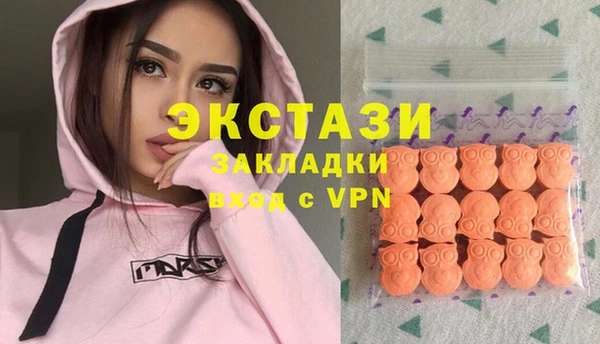 хмурый Алексин