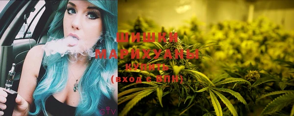 PSILOCYBIN Алзамай