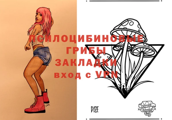 PSILOCYBIN Алзамай
