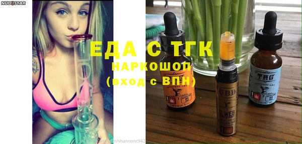 хмурый Алексин