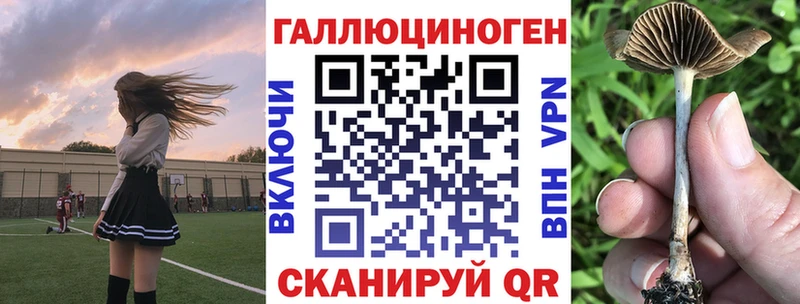 где найти   ссылка на мегу   Псилоцибиновые грибы MAGIC MUSHROOMS  Апрелевка 